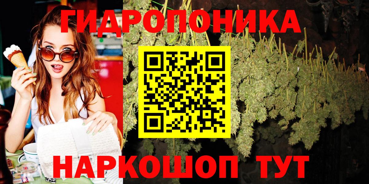 Бошки марихуана OG Kush  Бошки Шишки MAZAR  Конопля план  МАРИХУАНА White Widow  Вход с VPN  Киселёвск 