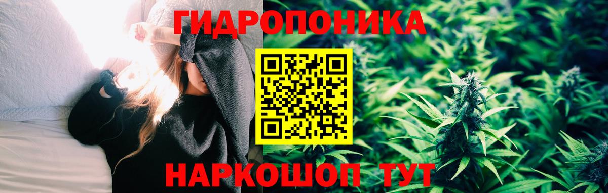 Шишки марихуана план Киселёвск